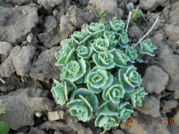 DSCN1765