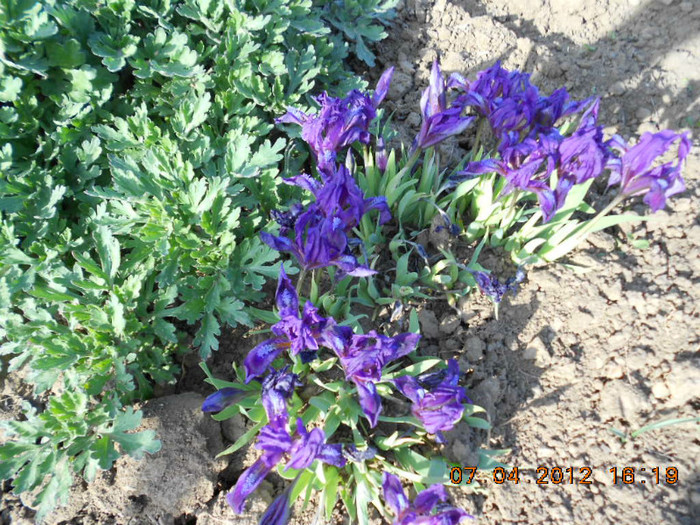 DSCN1783