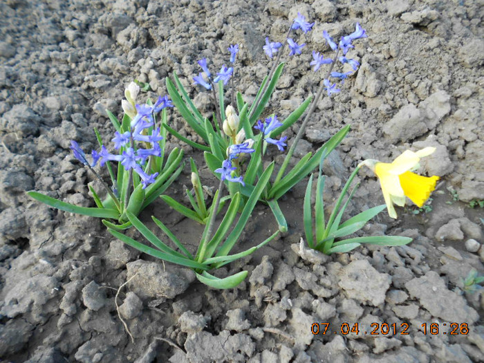 DSCN1802
