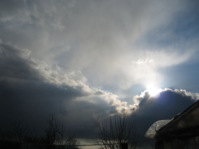 Vine furtuna,Gradina martie 2012; se anunta o furtuna
