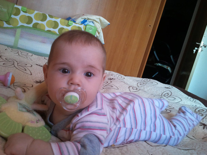 2012-02-09 15.59.44 - NEPOATA