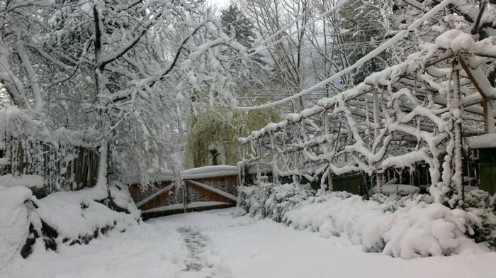 ZICI CA VINE CRACIUNUL - IARNA PE 09 APRILIE  2012