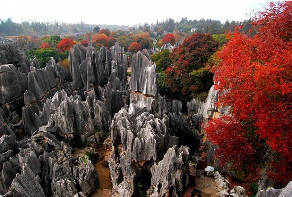 shilin-padurea-de-piatra; Shilin este o zona din provincia Chinei, Yunnan si este acoperita cu formatiuni carstice. Shilin ins
