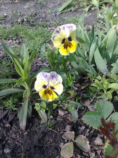 08042012