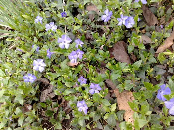 07042012