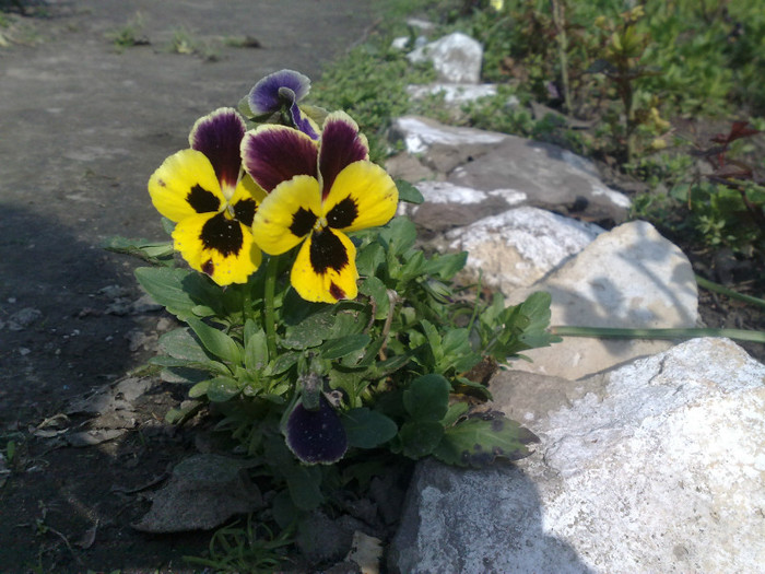 07042012