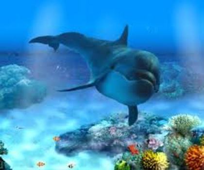 7777777777777777777777