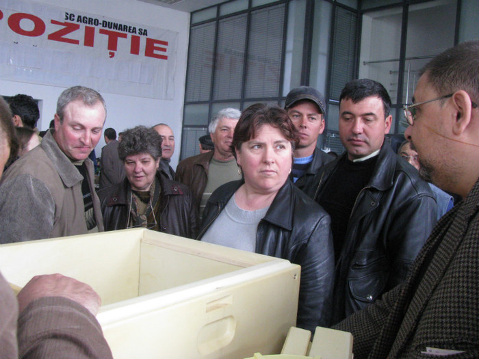 IMG_1272 - targ galati