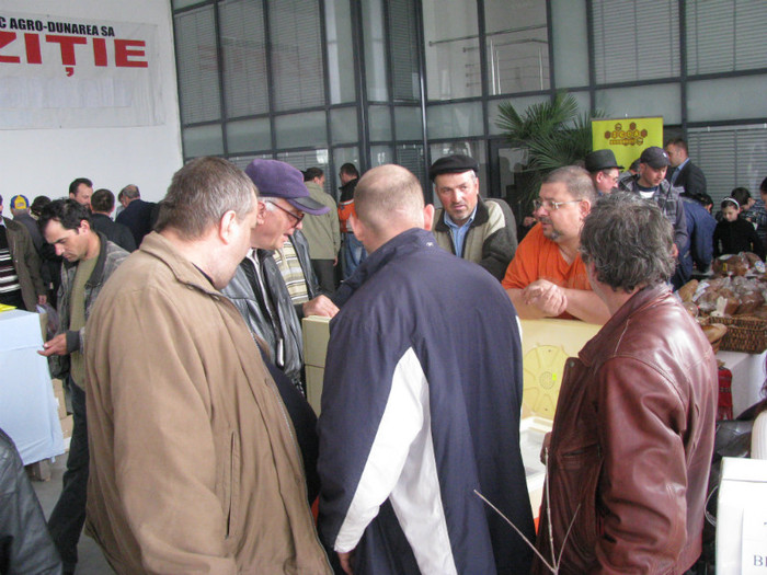 IMG_1285 - targ galati