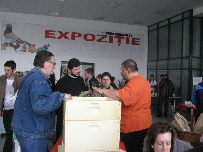 IMG_1289 - targ galati