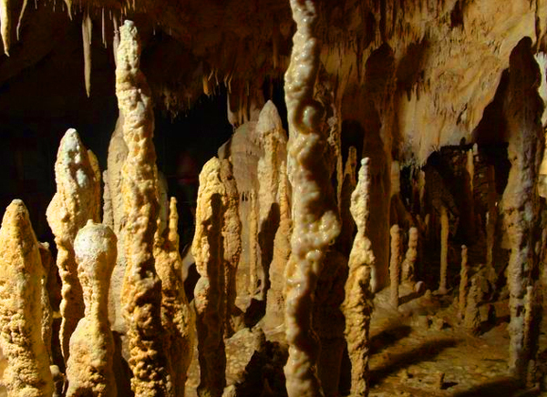 Pestera ursilor; Pestera Ursilor se afla in comuna Pietroasa, din judetul Bihor
