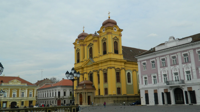 DSCN1376 - TIMISOARA 2012
