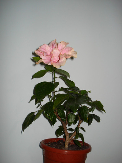 DSC02102