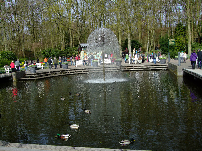 100 - Keukenhof 2012