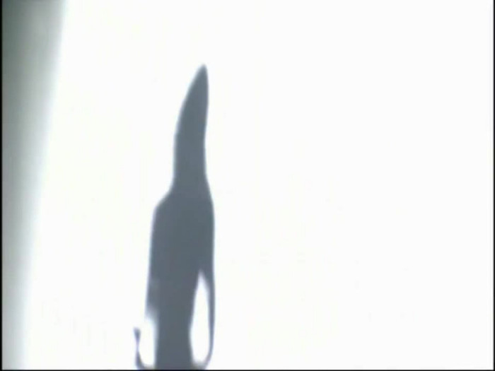 Bonez Tour Documentary [HD] Part2 - Avril Lavigne 0395