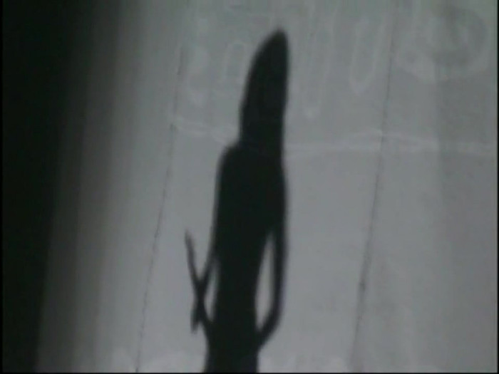 Bonez Tour Documentary [HD] Part2 - Avril Lavigne 0410