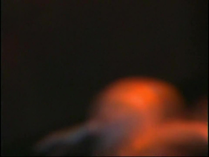 Bonez Tour Documentary [HD] Part2 - Avril Lavigne 4048 - Avril - Lavigne - 2008 - Bonez - Tour - Documentary - oo9