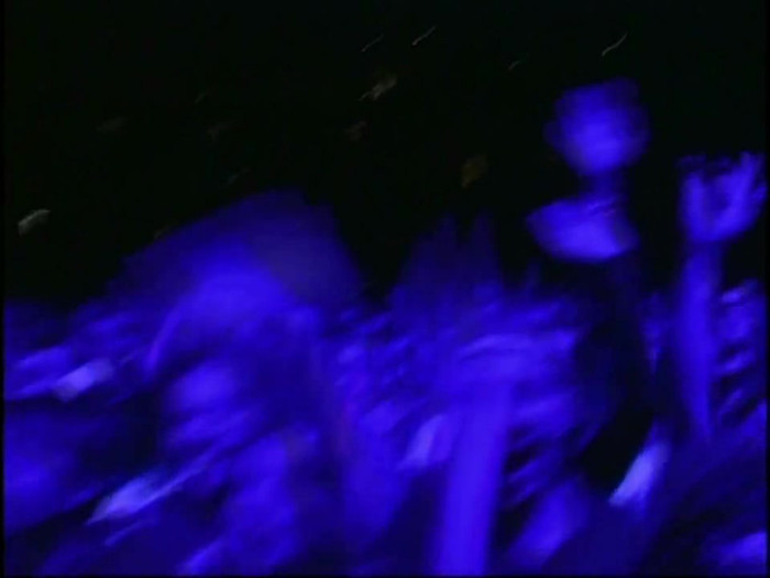 Bonez Tour Documentary [HD] Part2 - Avril Lavigne 3401