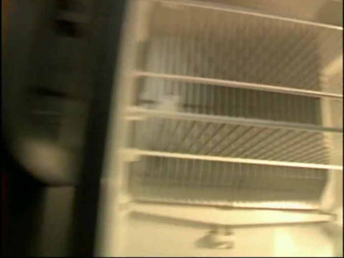 Bonez Tour Documentary [HD] Part2 - Avril Lavigne 4856 - Avril - Lavigne - 2008 - Bonez - Tour - Documentary - o1o