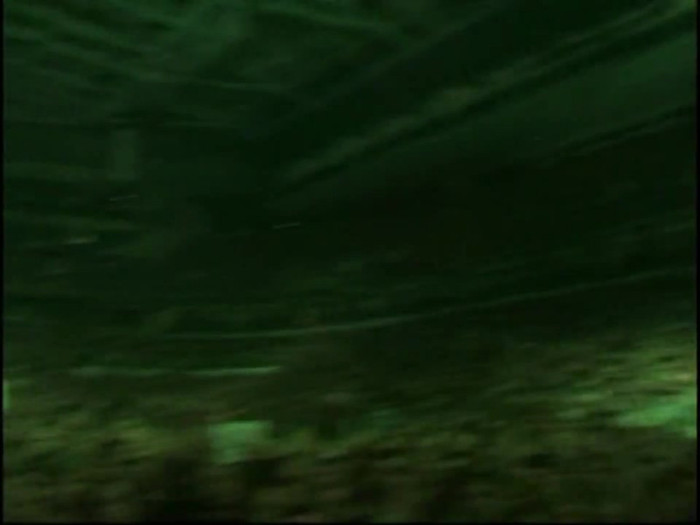 Bonez Tour Documentary [HD] Part2 - Avril Lavigne 3433