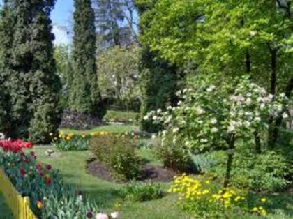 3 - Gradina Botanica Cluj