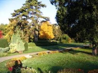 1 - Gradina Botanica Timisoara