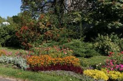 3 - Gradina Botanica Timisoara