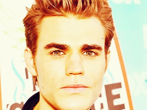425307_316942648353601_220563014658232_720555_1010789313_n - The Vampire Diaries