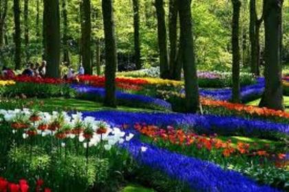 Gradina Keukenhof din Olanda - Gradini botanice din lume