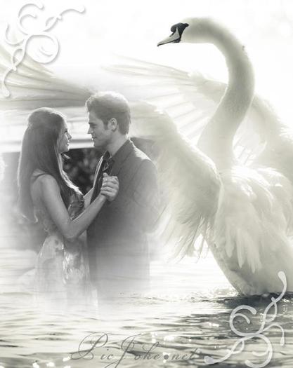 485856_326144760782920_131907596873305_954220_2057921541_n