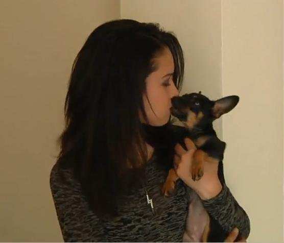 248308_132407306833447_6229667_n - jasmine V3