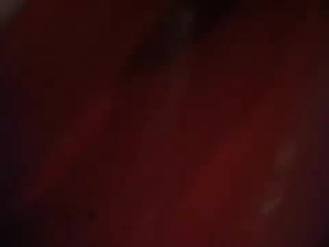 Demi Lovato signing session Mondadori Milano 31-03-12 0885