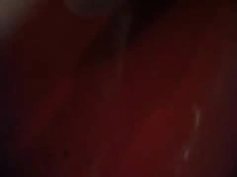 Demi Lovato signing session Mondadori Milano 31-03-12 0886