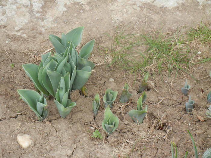 2012, April 04