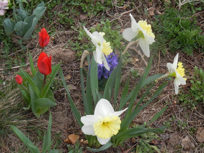 2012, April 04
