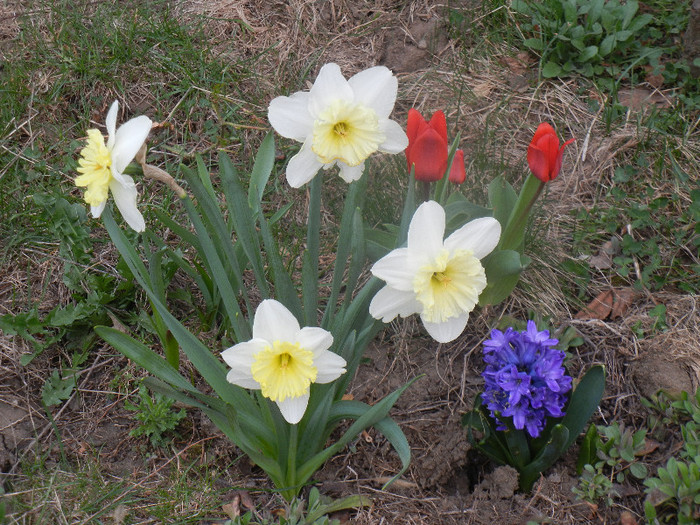 2012, April 04