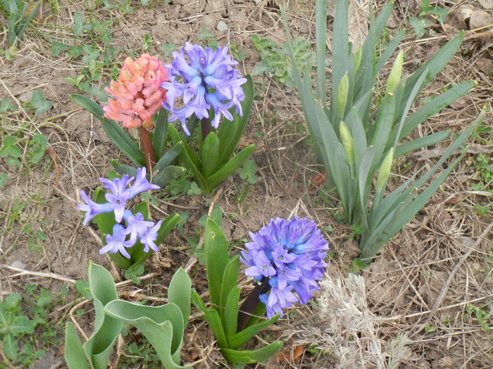 2012, April 04
