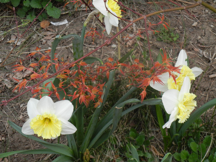 2012, April 04