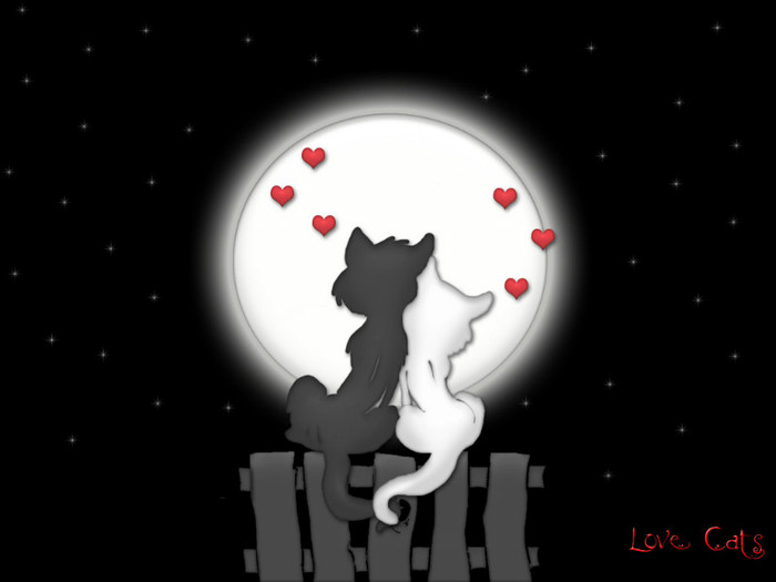 love-cats-heart-adorable - Poze xD