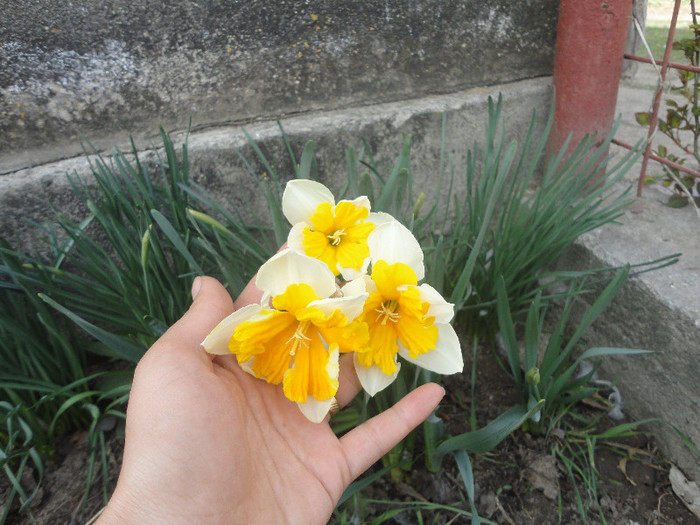 DSC04250