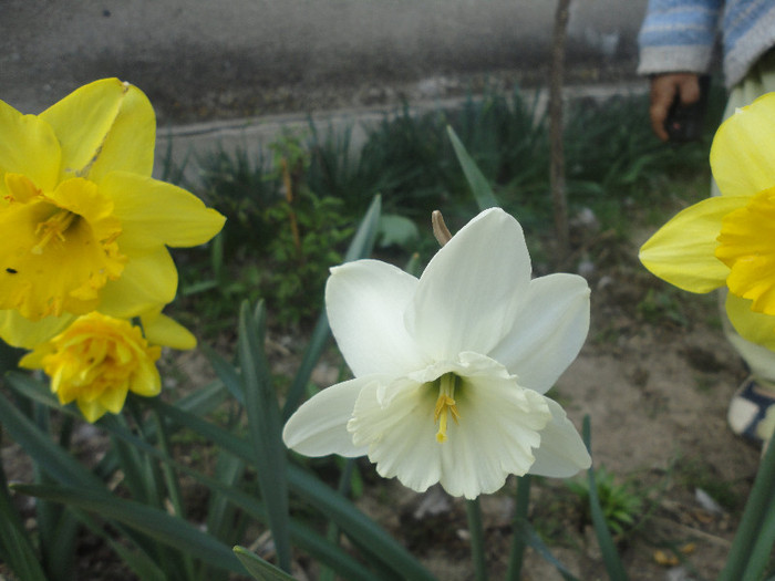 DSC04251