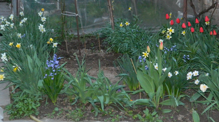 DSCN1978 - APRILIE 2012
