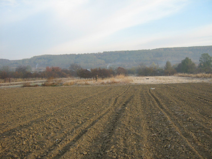 teren agricol & vanatoare