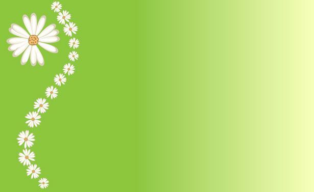 daisies-on-green-background-871294684597LeG