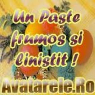 images (11)