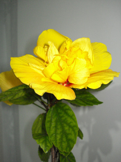 DSC02121