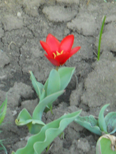 DSCN2326