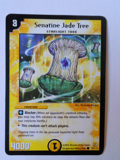 Senatine Jade Tree
