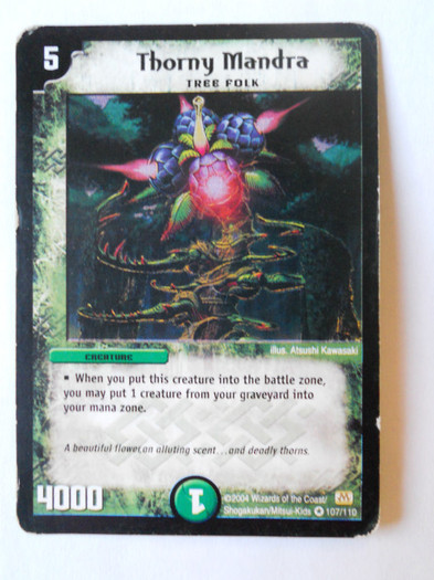 Thorny Mandra; Very rare.
