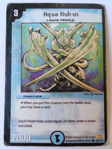 Aqua Hulcus